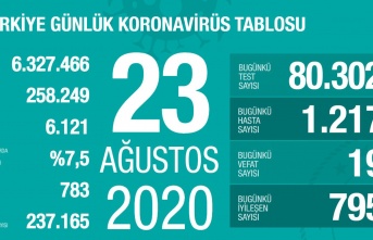 23 Ağustos 2020 Koronavirüs tablosu