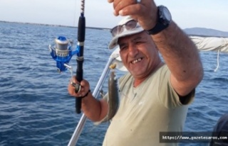 Tekne faciasında kaybolan Kemal Abay, Yunan adasında...